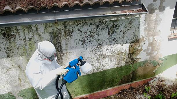 Trusted Crawl Space Mold Removal service in Pikesville, MD - Cheap Mold Removal